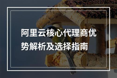 阿里云核心代理商优势解析及选择指南