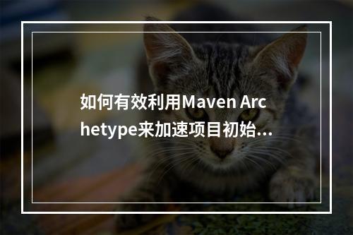 如何有效利用Maven Archetype来加速项目初始化流程?