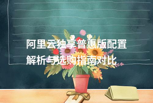 阿里云独享普惠版配置解析与选购指南对比