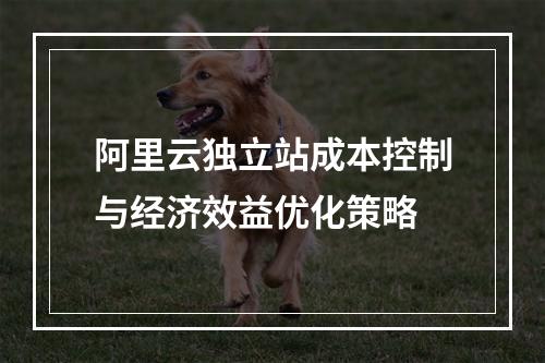 阿里云独立站成本控制与经济效益优化策略