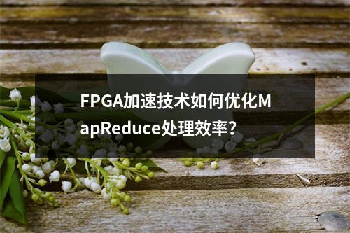 FPGA加速技术如何优化MapReduce处理效率?