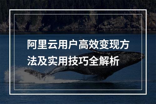 阿里云用户高效变现方法及实用技巧全解析