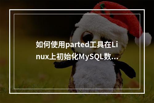 如何使用parted工具在Linux上初始化MySQL数据库磁盘?