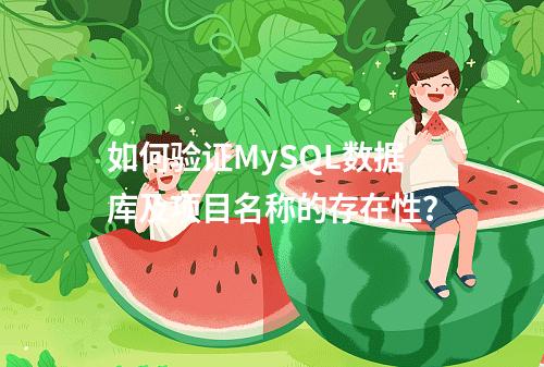 如何验证MySQL数据库及项目名称的存在性?