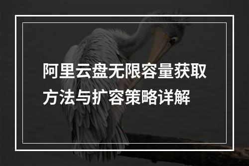 阿里云盘无限容量获取方法与扩容策略详解