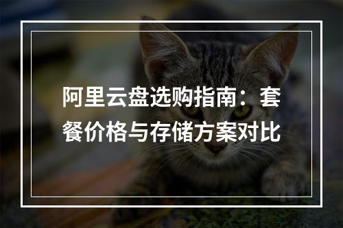 阿里云盘选购指南：套餐价格与存储方案对比