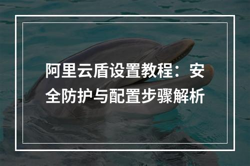阿里云盾设置教程：安全防护与配置步骤解析