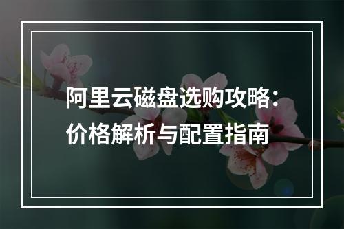 阿里云磁盘选购攻略：价格解析与配置指南