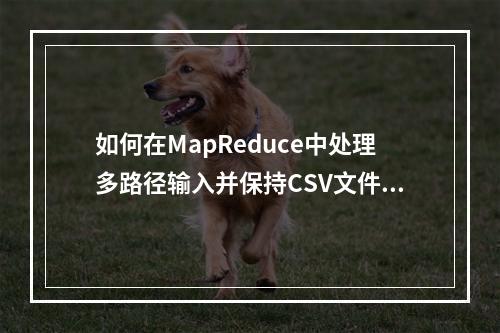 如何在MapReduce中处理多路径输入并保持CSV文件的读取顺序?
