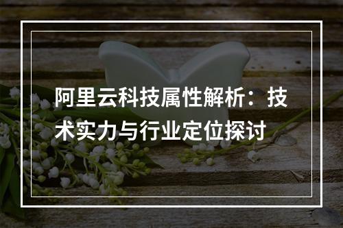 阿里云科技属性解析：技术实力与行业定位探讨