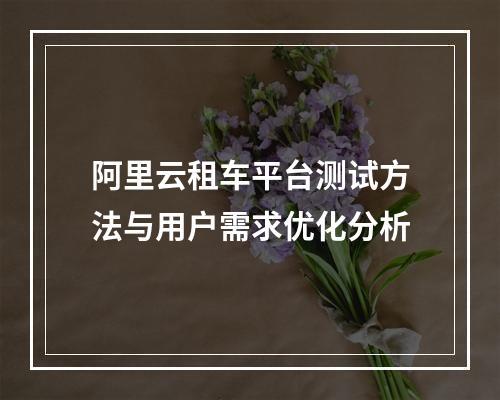 阿里云租车平台测试方法与用户需求优化分析