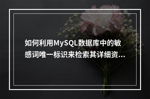 如何利用MySQL数据库中的敏感词唯一标识来检索其详细资讯?