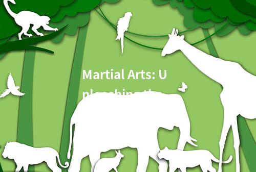 Martial Arts: Unleashing the Spirit Within — Have You Mastered Your Inner Warrio