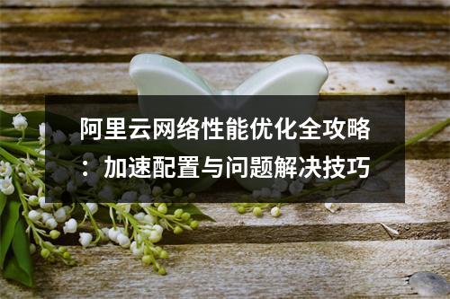 阿里云网络性能优化全攻略：加速配置与问题解决技巧