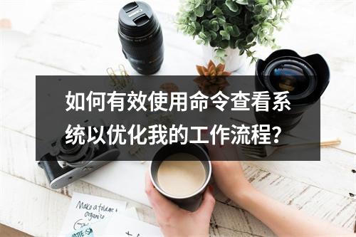 如何有效使用命令查看系统以优化我的工作流程?