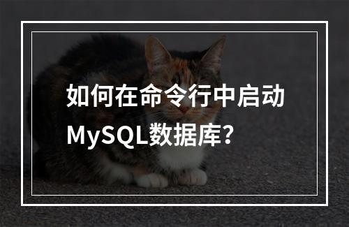 如何在命令行中启动MySQL数据库?