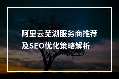 阿里云芜湖服务商推荐及SEO优化策略解析