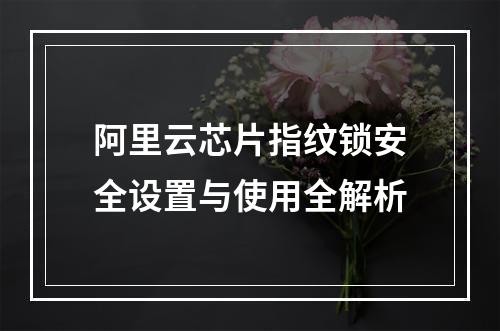 阿里云芯片指纹锁安全设置与使用全解析