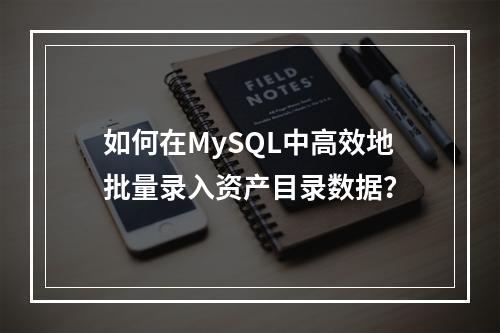 如何在MySQL中高效地批量录入资产目录数据?