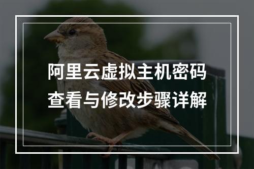 阿里云虚拟主机密码查看与修改步骤详解