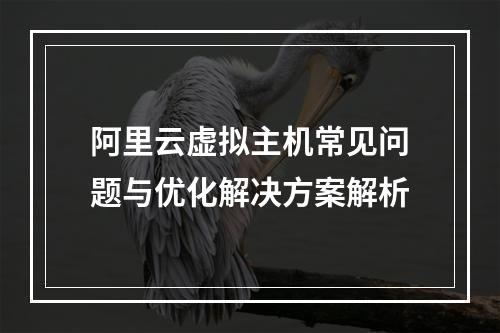 阿里云虚拟主机常见问题与优化解决方案解析