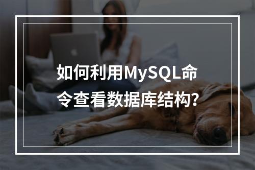 如何利用MySQL命令查看数据库结构?