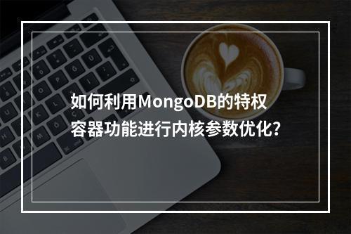 如何利用MongoDB的特权容器功能进行内核参数优化?