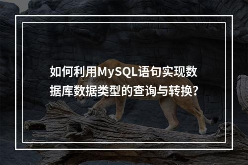 如何利用MySQL语句实现数据库数据类型的查询与转换?