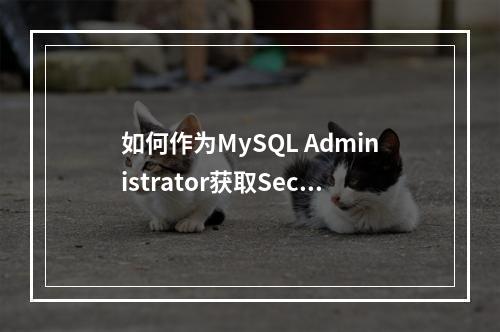 如何作为MySQL Administrator获取Security Administrator权限的Token?