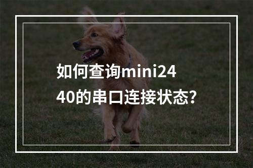如何查询mini2440的串口连接状态?