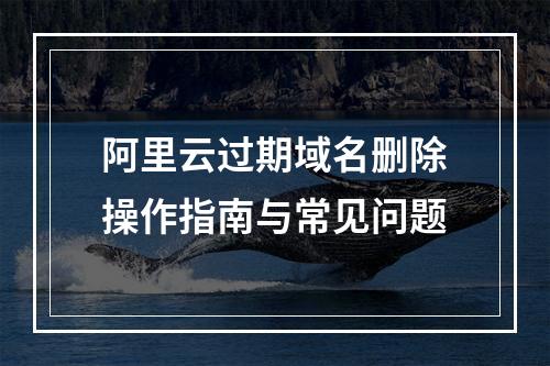 阿里云过期域名删除操作指南与常见问题
