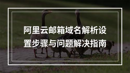阿里云邮箱域名解析设置步骤与问题解决指南