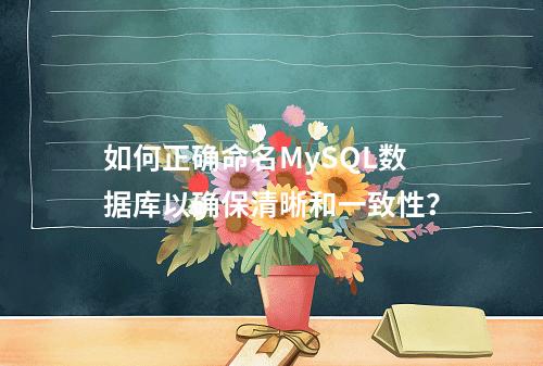 如何正确命名MySQL数据库以确保清晰和一致性?