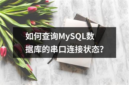 如何查询MySQL数据库的串口连接状态?