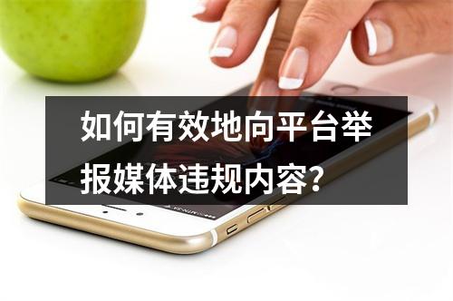 如何有效地向平台举报媒体违规内容?