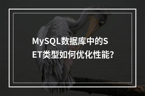 MySQL数据库中的SET类型如何优化性能?