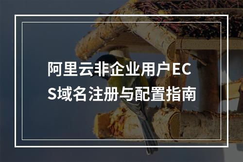 阿里云非企业用户ECS域名注册与配置指南