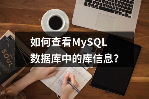 如何查看MySQL数据库中的库信息?