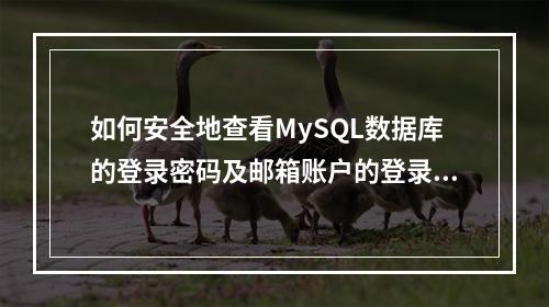 如何安全地查看MySQL数据库的登录密码及邮箱账户的登录凭据?