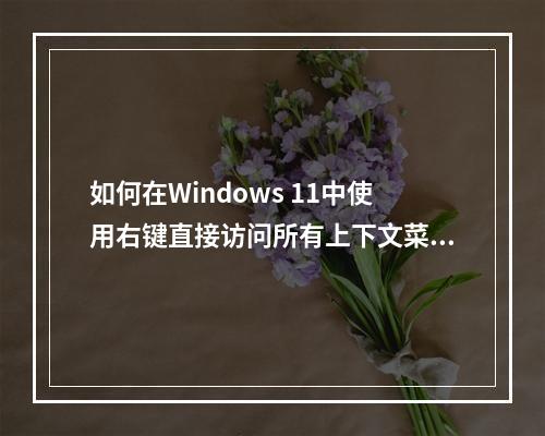 如何在Windows 11中使用右键直接访问所有上下文菜单选项?