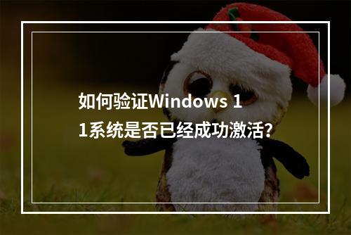 如何验证Windows 11系统是否已经成功激活?