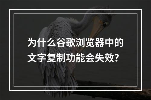 为什么谷歌浏览器中的文字复制功能会失效?