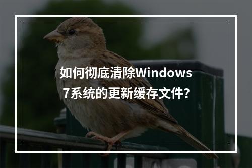 如何彻底清除Windows 7系统的更新缓存文件?