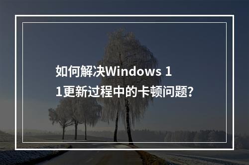 如何解决Windows 11更新过程中的卡顿问题?