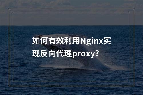 如何有效利用Nginx实现反向代理proxy?