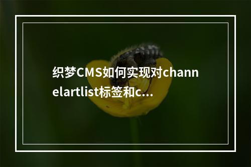 织梦CMS如何实现对channelartlist标签和currentstyle的自定义修改?