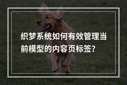 织梦系统如何有效管理当前模型的内容页标签?
