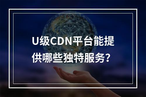 U级CDN平台能提供哪些独特服务?