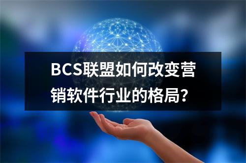 BCS联盟如何改变营销软件行业的格局?