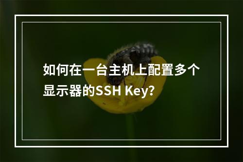 如何在一台主机上配置多个显示器的SSH Key?